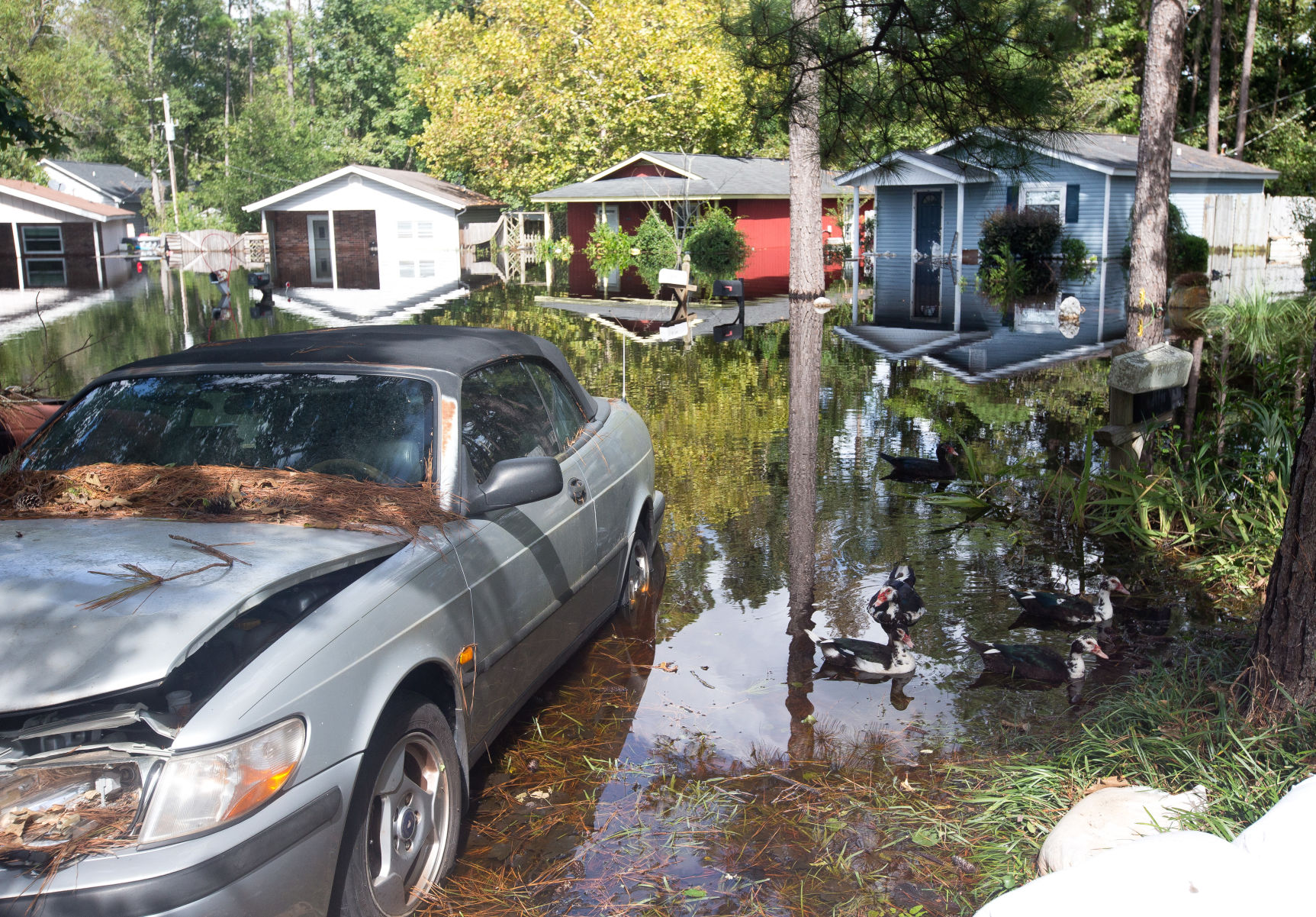 Rosewood neighborhood socastee01.JPG